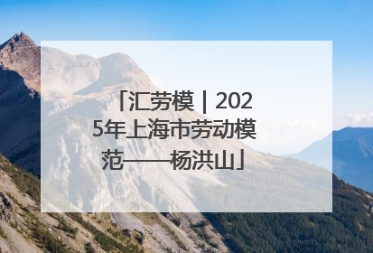 汇劳模｜2025年上海市劳动模范——杨洪山