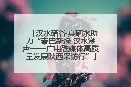 汉水硒谷·真硒水助力“秦巴新绿 汉水潮声——广电融媒体高质量发展陕西采访行”