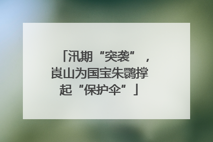 汛期“突袭”，崀山为国宝朱鹮撑起“保护伞”