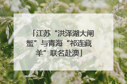江苏“洪泽湖大闸蟹”与青海“祁连藏羊”联名赴澳