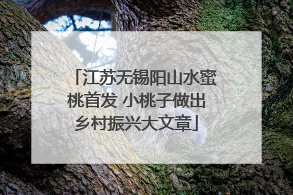 江苏无锡阳山水蜜桃首发 小桃子做出乡村振兴大文章