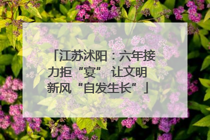 江苏沭阳：六年接力拒“宴” 让文明新风“自发生长”