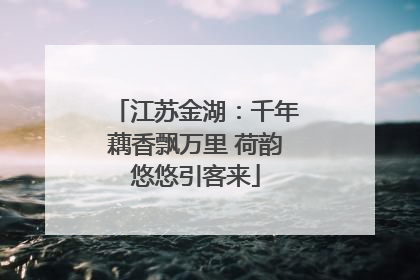 江苏金湖：千年藕香飘万里 荷韵悠悠引客来