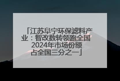 江苏阜宁环保滤料产业：智改数转领跑全国 2024年市场份额占全国三分之一