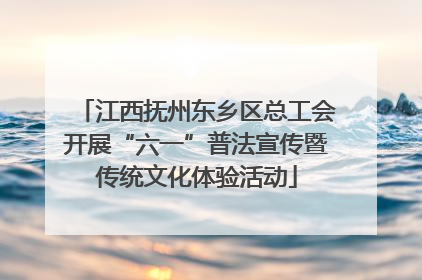 江西抚州东乡区总工会开展“六一”普法宣传暨传统文化体验活动