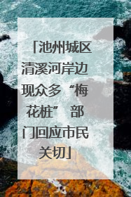 池州城区清溪河岸边现众多“梅花桩” 部门回应市民关切