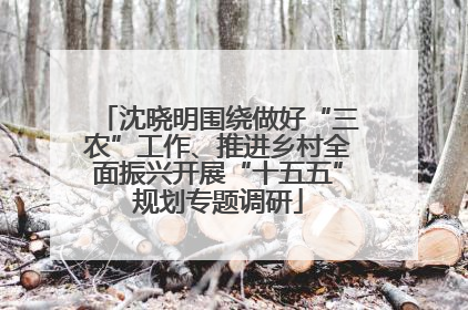 沈晓明围绕做好“三农”工作、推进乡村全面振兴开展“十五五”规划专题调研