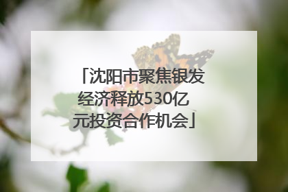 沈阳市聚焦银发经济释放530亿元投资合作机会