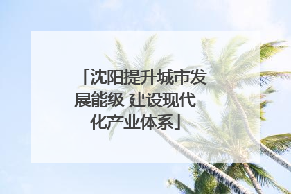 沈阳提升城市发展能级 建设现代化产业体系