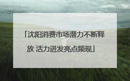 沈阳消费市场潜力不断释放 活力迸发亮点频现