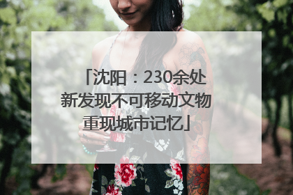 沈阳：230余处新发现不可移动文物重现城市记忆