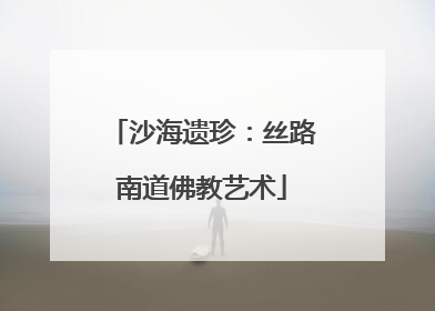 沙海遗珍：丝路南道佛教艺术