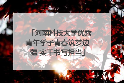 河南科技大学优秀青年学子青春筑梦边疆 实干书写担当