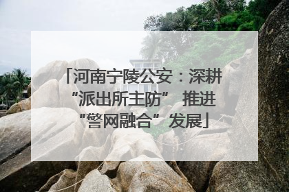 河南宁陵公安：深耕“派出所主防” 推进“警网融合”发展