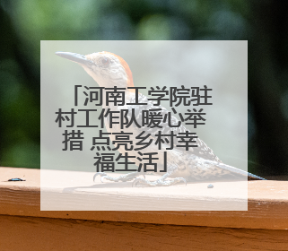 河南工学院驻村工作队暖心举措 点亮乡村幸福生活