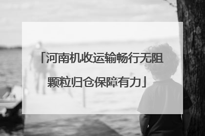 河南机收运输畅行无阻 颗粒归仓保障有力