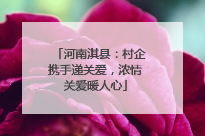 河南淇县：村企携手递关爱，浓情关爱暖人心