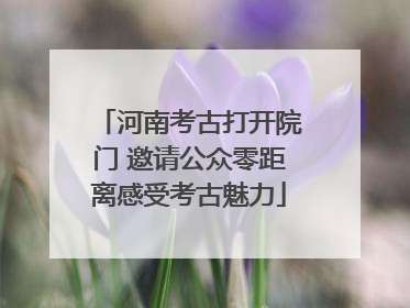 河南考古打开院门 邀请公众零距离感受考古魅力