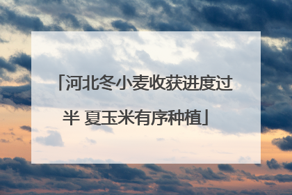 河北冬小麦收获进度过半 夏玉米有序种植
