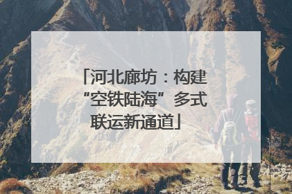 河北廊坊：构建“空铁陆海”多式联运新通道