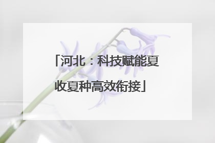 河北：科技赋能夏收夏种高效衔接