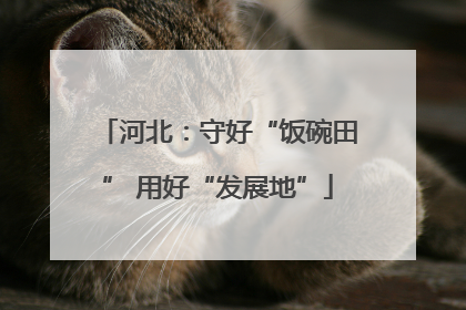 河北：守好“饭碗田” 用好“发展地”