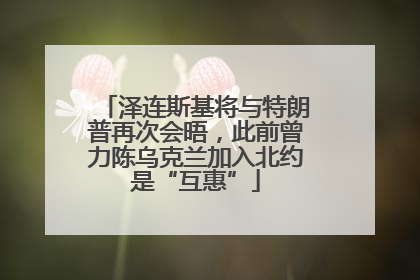 泽连斯基将与特朗普再次会晤，此前曾力陈乌克兰加入北约是“互惠”