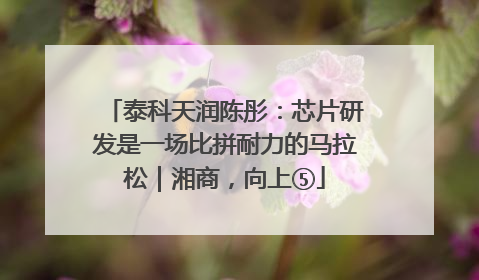 泰科天润陈彤：芯片研发是一场比拼耐力的马拉松｜湘商，向上⑤