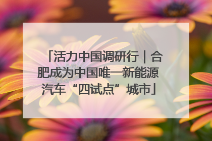 活力中国调研行｜合肥成为中国唯一新能源汽车“四试点”城市