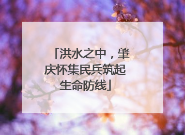洪水之中，肇庆怀集民兵筑起生命防线