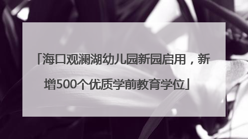 海口观澜湖幼儿园新园启用，新增500个优质学前教育学位