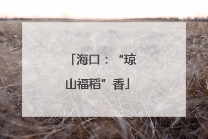 海口：“琼山福稻”香