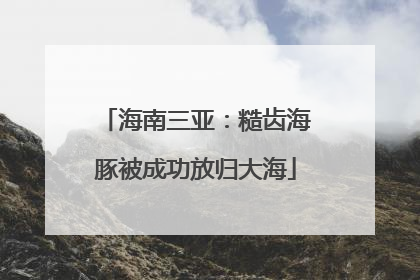 海南三亚：糙齿海豚被成功放归大海