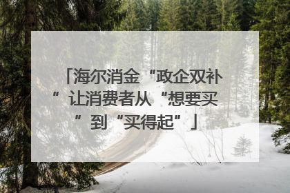 海尔消金“政企双补”让消费者从“想要买”到“买得起”
