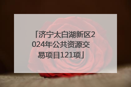 济宁太白湖新区2024年公共资源交易项目121项