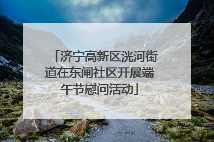 济宁高新区洸河街道在东闸社区开展端午节慰问活动