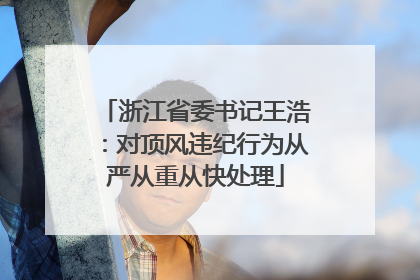 浙江省委书记王浩：对顶风违纪行为从严从重从快处理