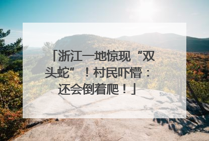 浙江一地惊现“双头蛇”！村民吓懵：还会倒着爬！