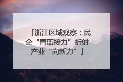浙江区域观察：民企“青蓝接力”折射产业“向新力”