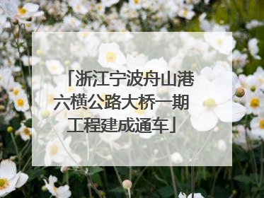 浙江宁波舟山港六横公路大桥一期工程建成通车