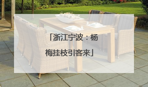 浙江宁波：杨梅挂枝引客来