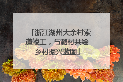 浙江湖州大余村索道竣工，与潞村共绘乡村振兴蓝图