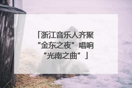 浙江音乐人齐聚“金东之夜”唱响“光南之曲”