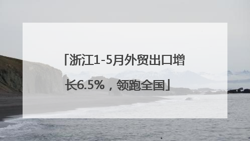 浙江1-5月外贸出口增长6.5%，领跑全国