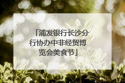 浦发银行长沙分行协办中非经贸博览会美食节
