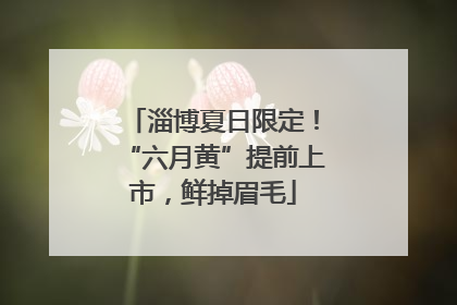 淄博夏日限定！“六月黄”提前上市，鲜掉眉毛
