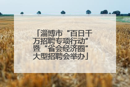 淄博市“百日千万招聘专项行动”暨“省会经济圈”大型招聘会举办