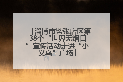 淄博市暨张店区第38个“世界无烟日”宣传活动走进“小义乌”广场