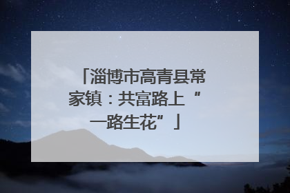 淄博市高青县常家镇：共富路上“一路生花”