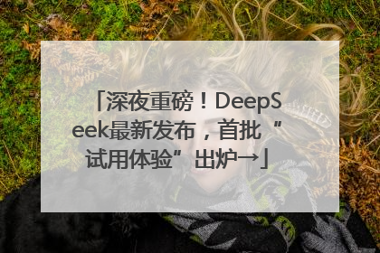 深夜重磅！DeepSeek最新发布，首批“试用体验”出炉→